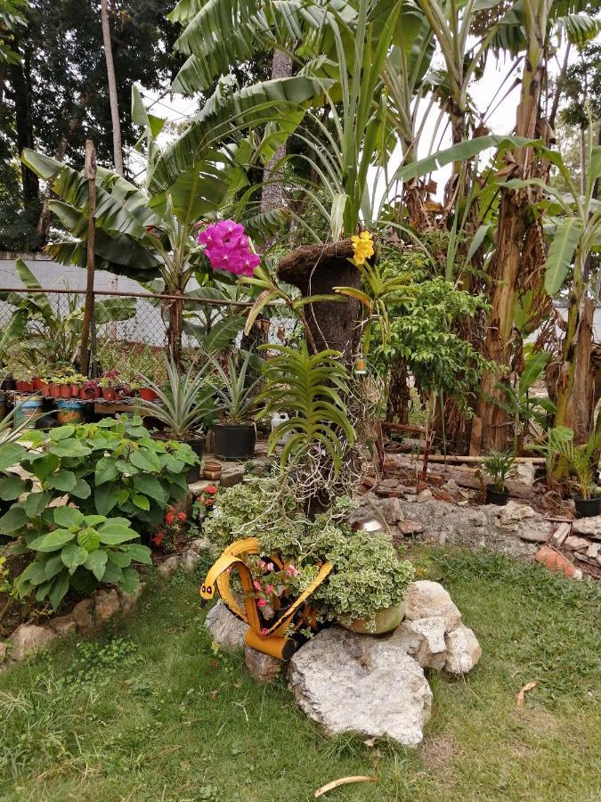 La Famosa Costillas A La Lena Jarabacoa Exteriér fotografie